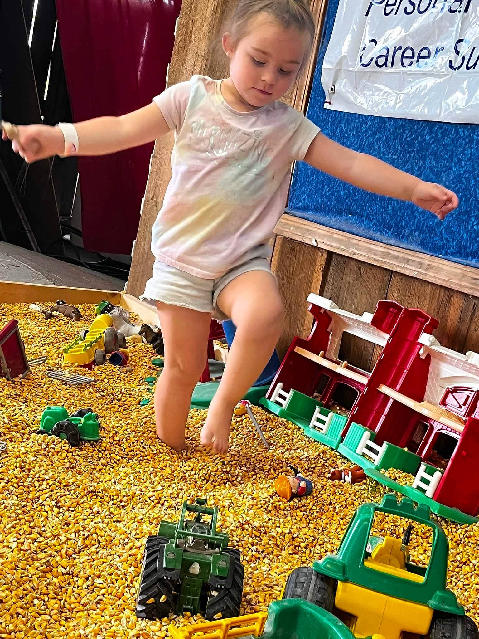 Rosabella is registered to the contest to win money with this photo: baby_toddler_clothing, blue, child, electric_blue, fun, grass, green, happy, leisure, people_in_nature, person, photograph, play, recreation, shorts, summer, t_shirt, thigh, toddler, toy
