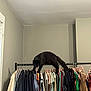 Prince Maui joined the competition — help win amazing prizes! black_cat, clothing_rack, clothes, hanger, indoor, wall, window, curious, feline, coat, shirt, sleeve, closet, apparel, pet, domestic_cat, rack, room, shelving, household
