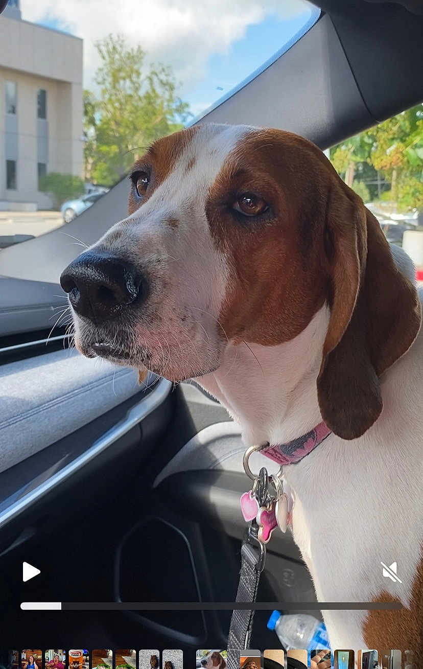 Abbey