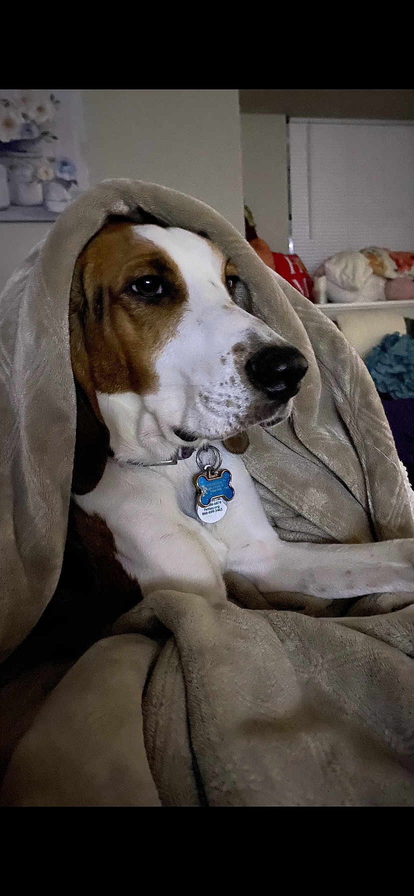 Bailey