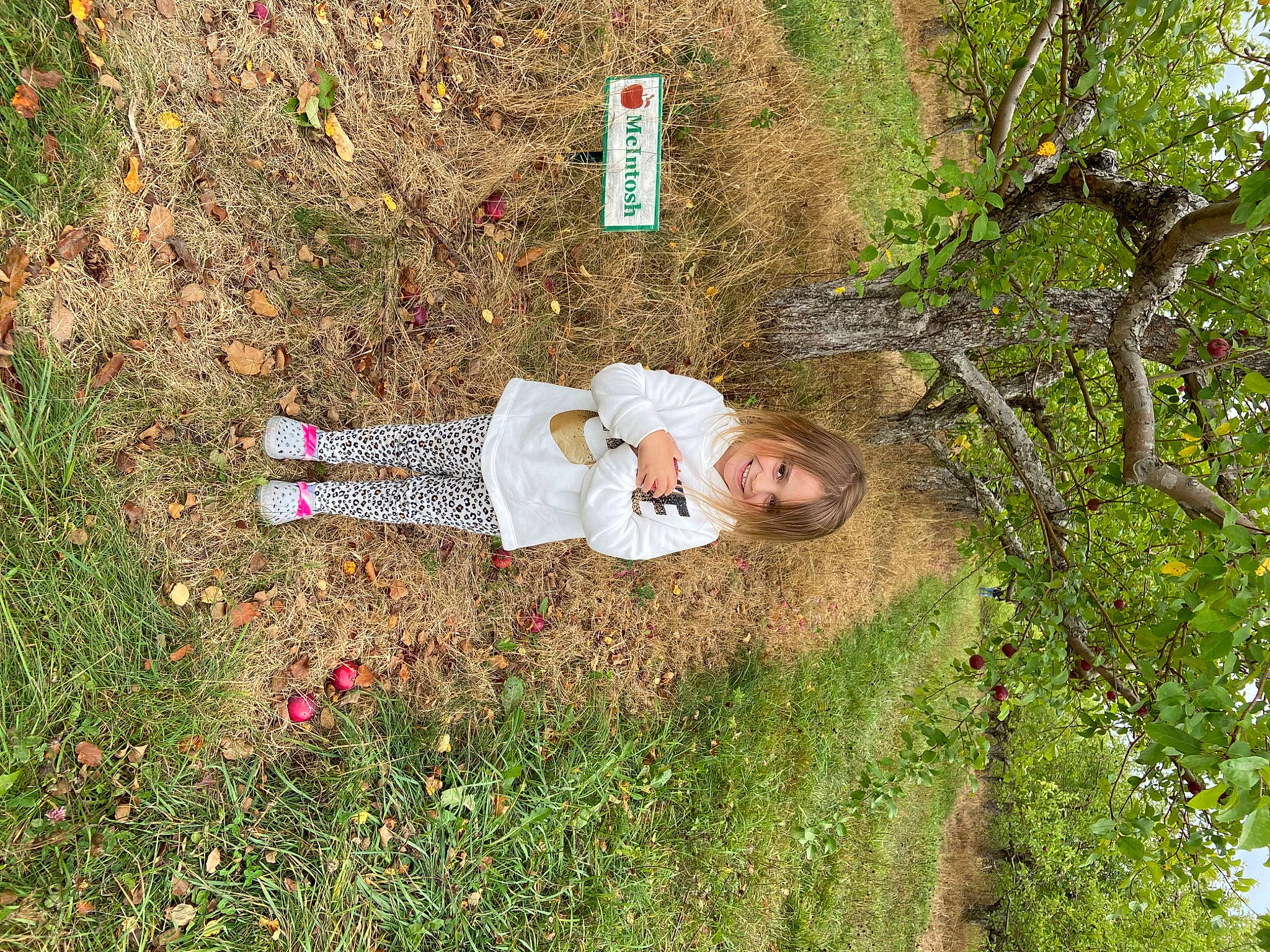 Alexandria joined the competition — help win amazing prizes! flower, garden, grass, grassland, groundcover, happy, joy, landscape, leisure, natural_landscape, people_in_nature, person, plant, shadow, shrub, soil, toddler, tree, trunk, wood