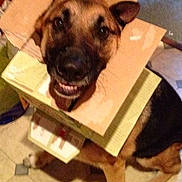 Kaiser is registered to the contest to win money with this photo: