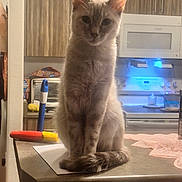 Chloe is registered to the contest to win money with this photo: