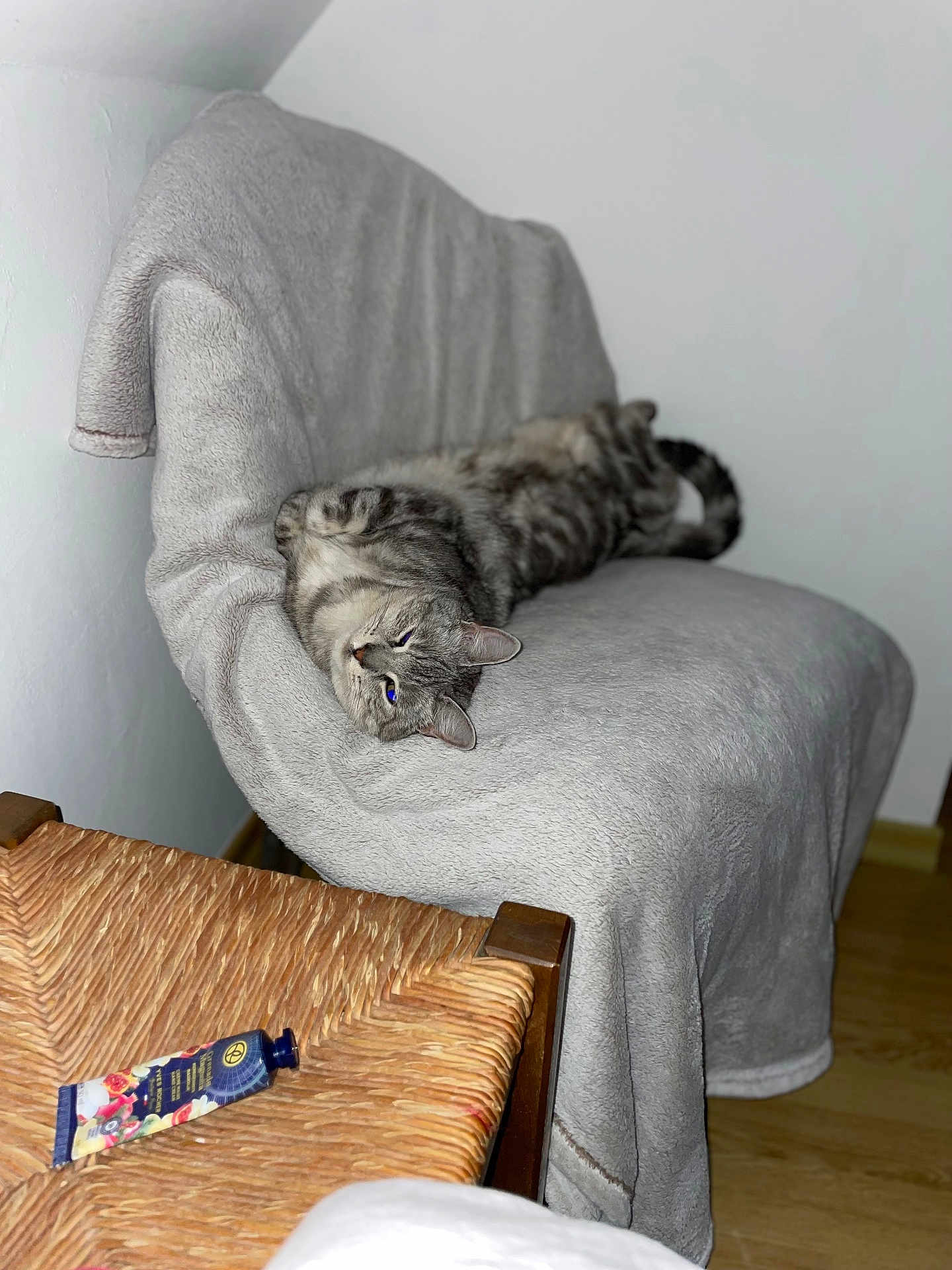 Princesse a rejoint le concours — aidez-le/la à gagner de superbes lots ! cat, tabby, gray_cat, feline, lounging, chair, blanket, furniture, indoor, wood_floor, relaxed, sleepy, domestic_animal, pet, tube, cream, woven_chair, cozy, soft_texture, resting