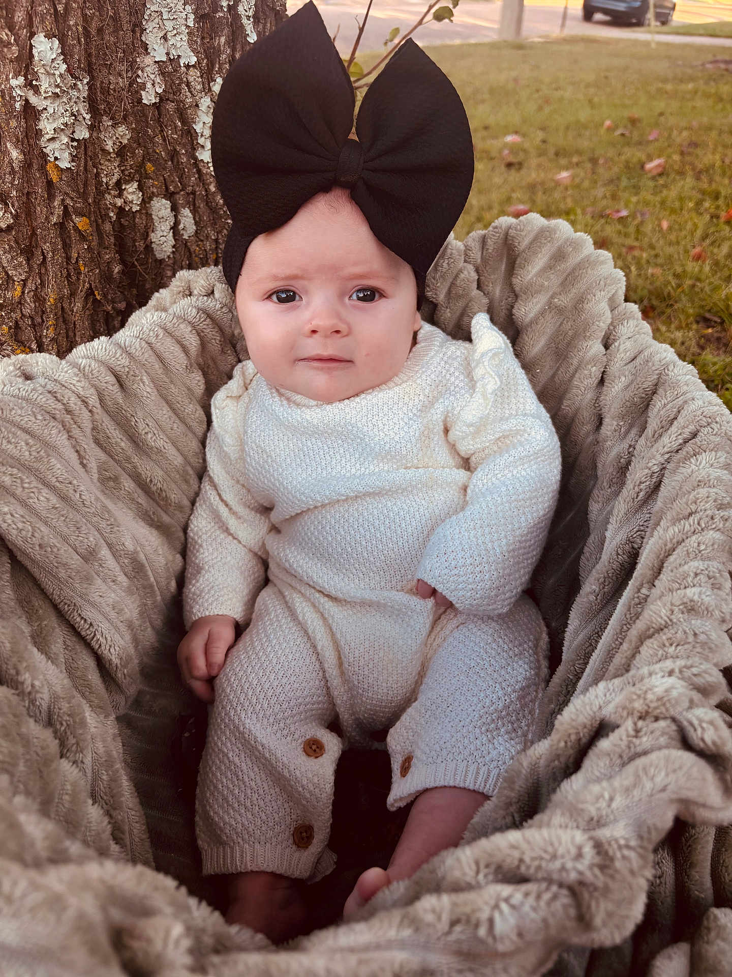 Gracie joined the competition — help win amazing prizes! baby, infant, child, knitwear, black_bow, headband, blanket, basket, outdoor, tree, grass, fall_leaves, plush, cute, portrait, cozy, soft_texture, wooden_buttons, sitting, looking