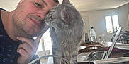 Uranus a rejoint le concours — aidez-le/la à gagner de superbes lots ! man, cat, indoor, table, laptop, water_bottle, glass, window, tray, furniture, nuzzling, closeup, facial_hair, short_hair, domestic_cat, gray_cat, pet, technology, home, casual