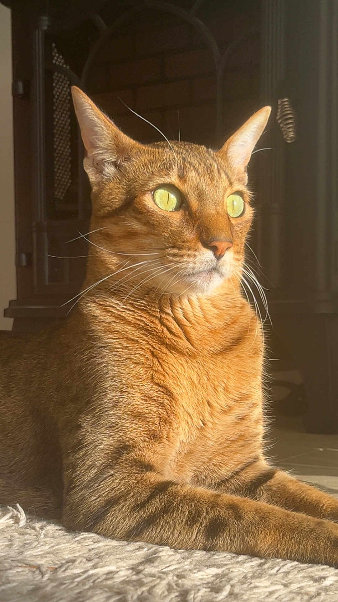 Milo