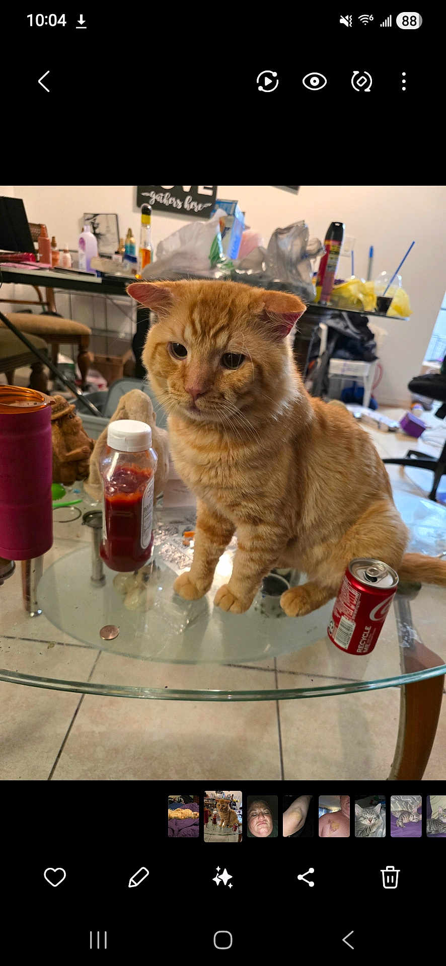 Charlie