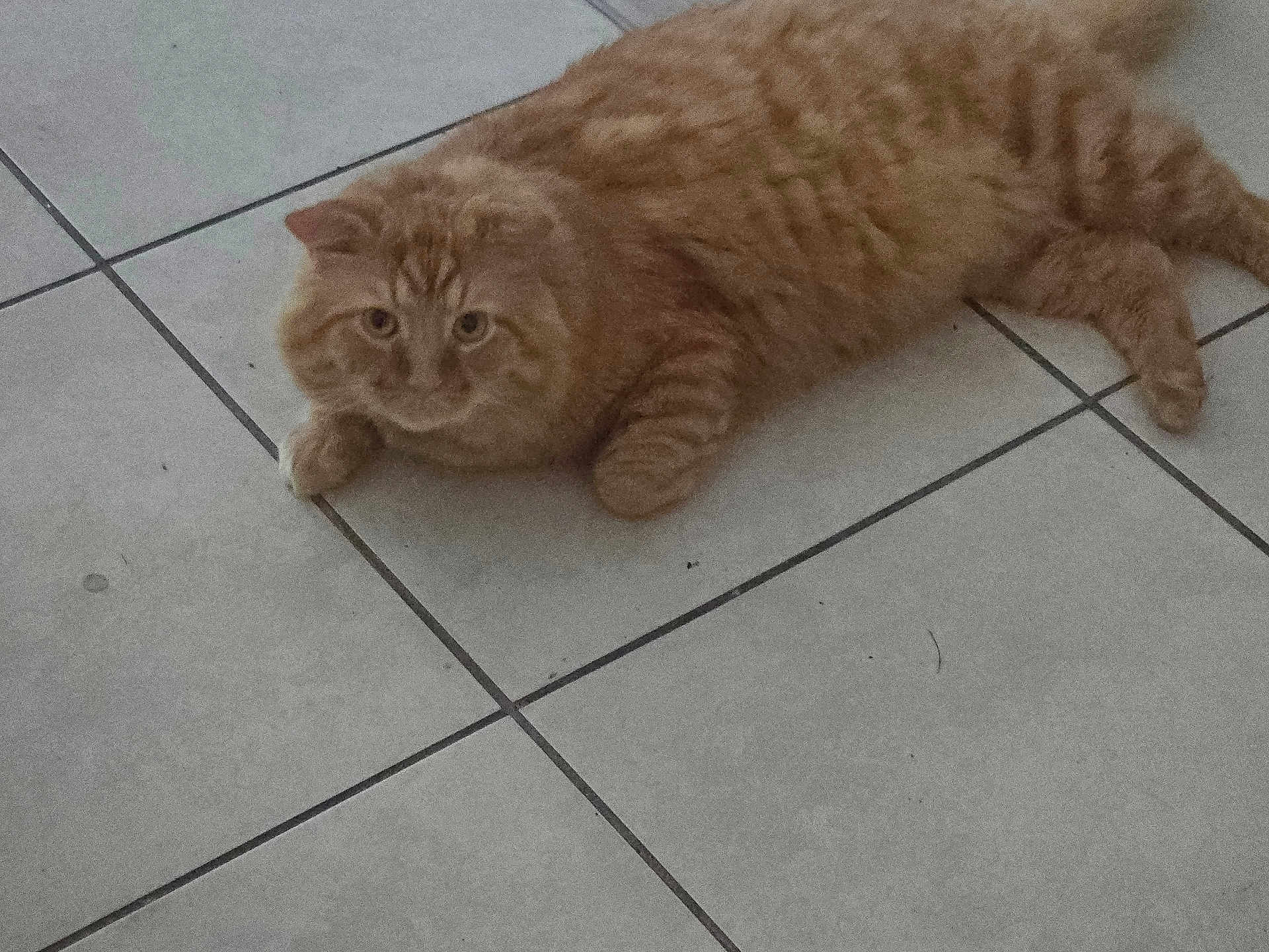 Charlie