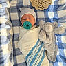 newborn, baby, infant, sleeping, swaddled, pacifier, blanket, plush_toy, elephant, hat, striped, portrait, indoors, nursery, birth_announcement, text, cuddly, peaceful, baby_burrito, bed