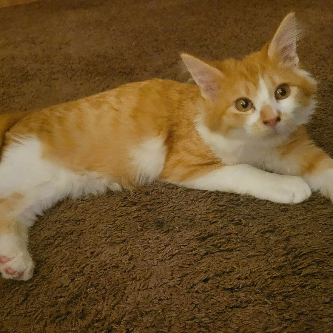 Samson