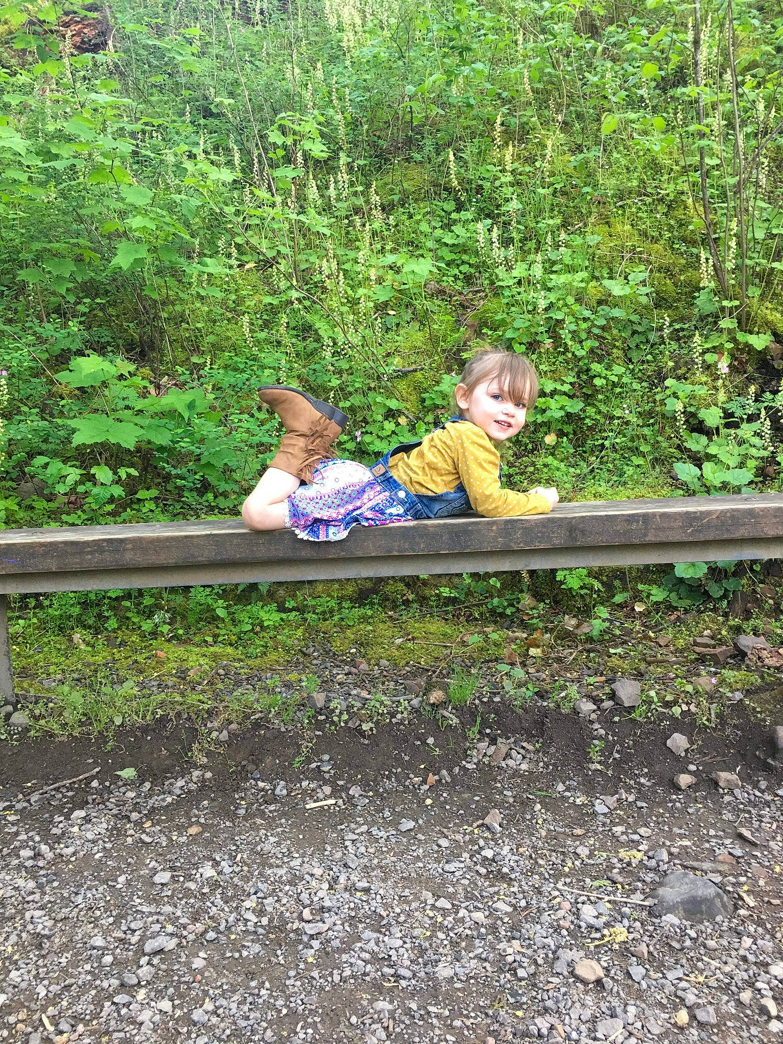 Alicen joined the competition — help win amazing prizes! forest, jungle, leaf, leisure, nature_reserve, old_growth_forest, person, plant, recreation, sitting, state_park, tree, vacation