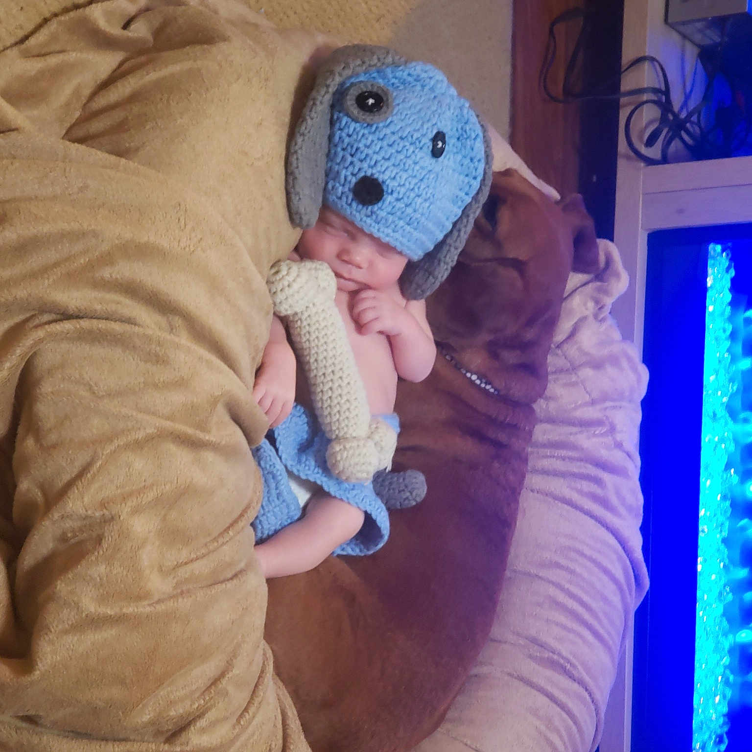 Jaxson joined the competition — help win amazing prizes! baby, baby_products, baby_sleeping, baby_toddler_clothing, baseball_cap, blue, cap, child, comfort, electric_blue, event, eye, fun, helmet, magenta, purple, room, sitting, stuffed_toy, toddler
