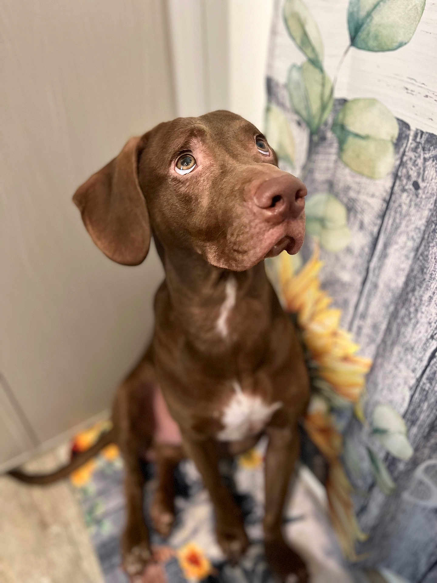 Duke