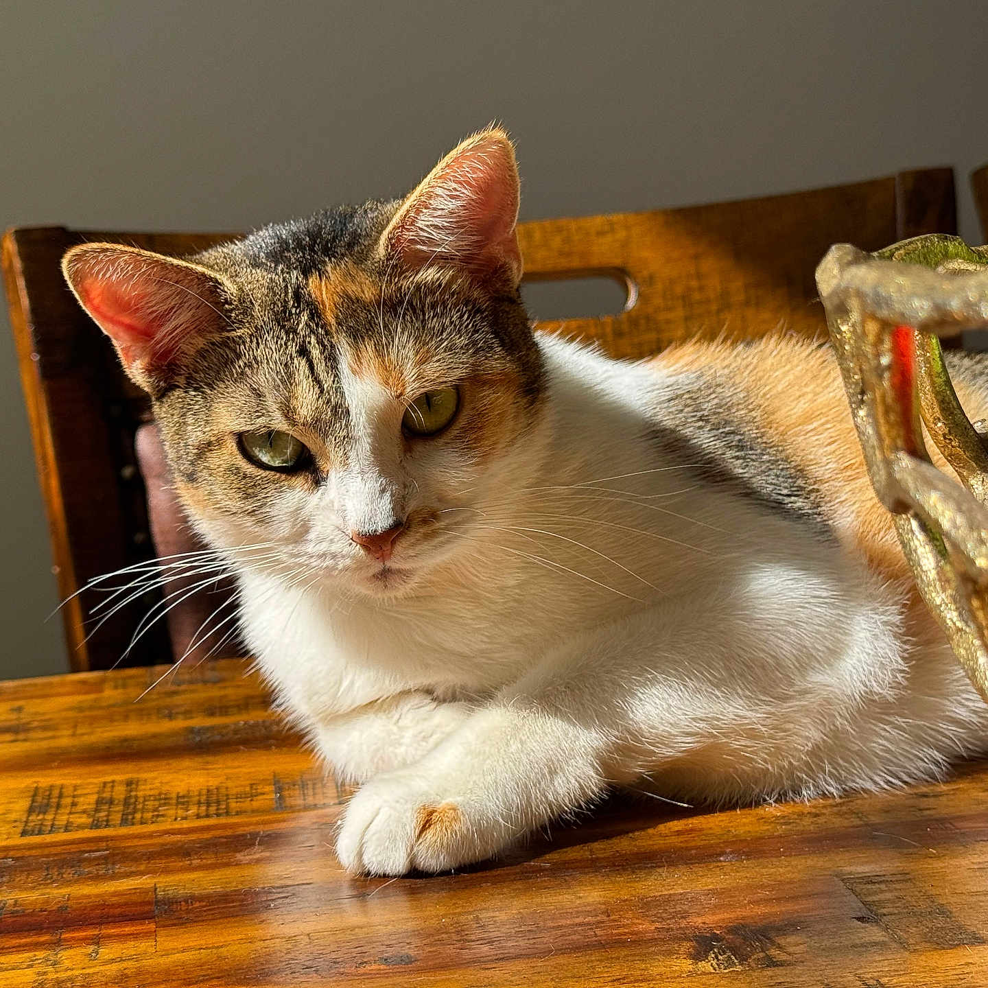 Nala