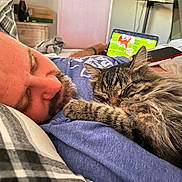Peanut is registered to the contest to win money with this photo: man, cat, sleeping, bed, tablet, sports, indoor, fluffy_cat, resting, casual, cozy, blue_shirt, striped_pillow, furniture, beard, relaxation, technology, pet, nap, closeup