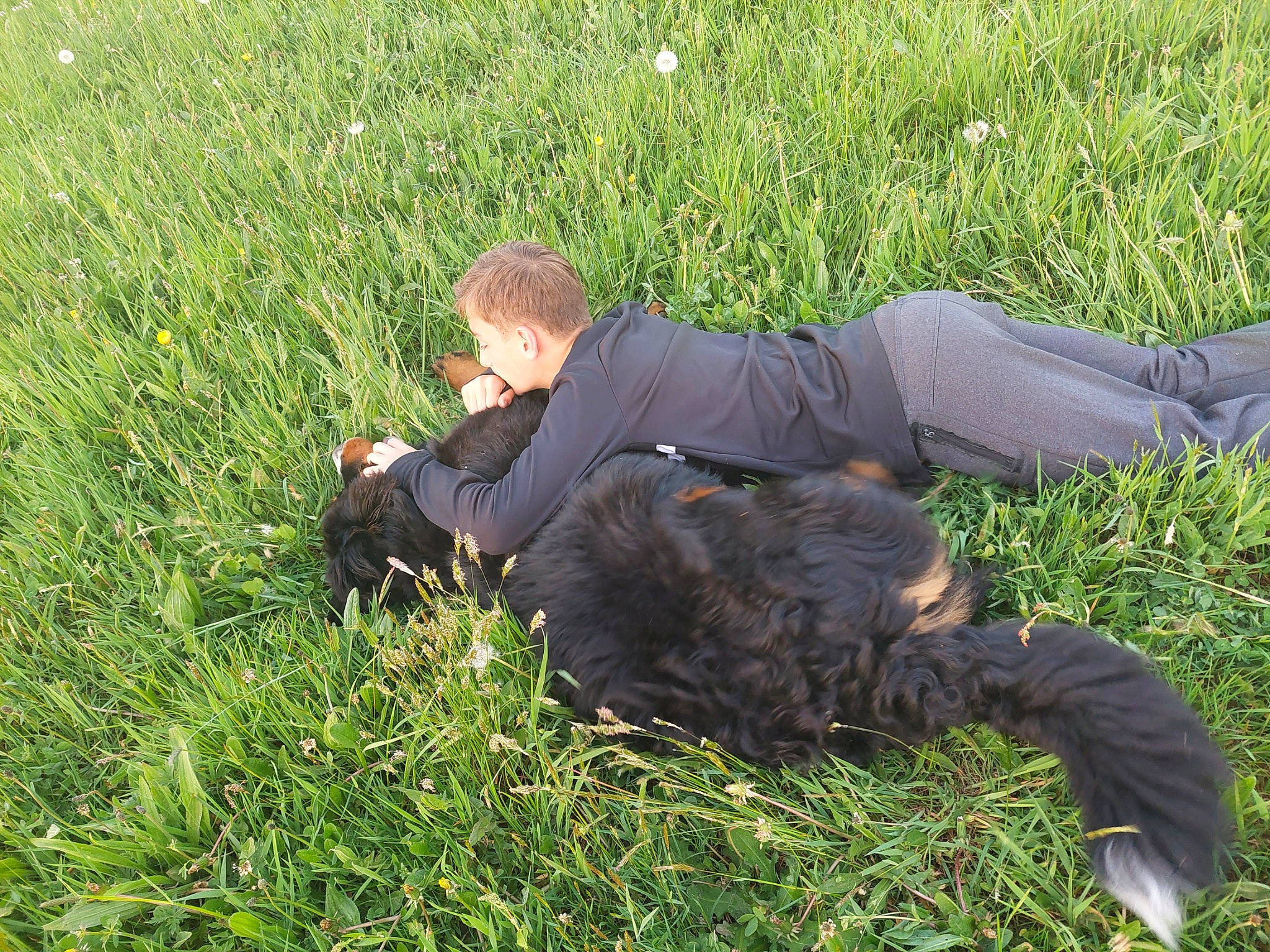 Arkos a rejoint le concours — aidez-le/la à gagner de superbes lots ! grass, grass_family, grassland, groundcover, jacket, landscape, lawn, meadow, military_camouflage, pasture, people_in_nature, plant, prairie, sitting, soil, trousers