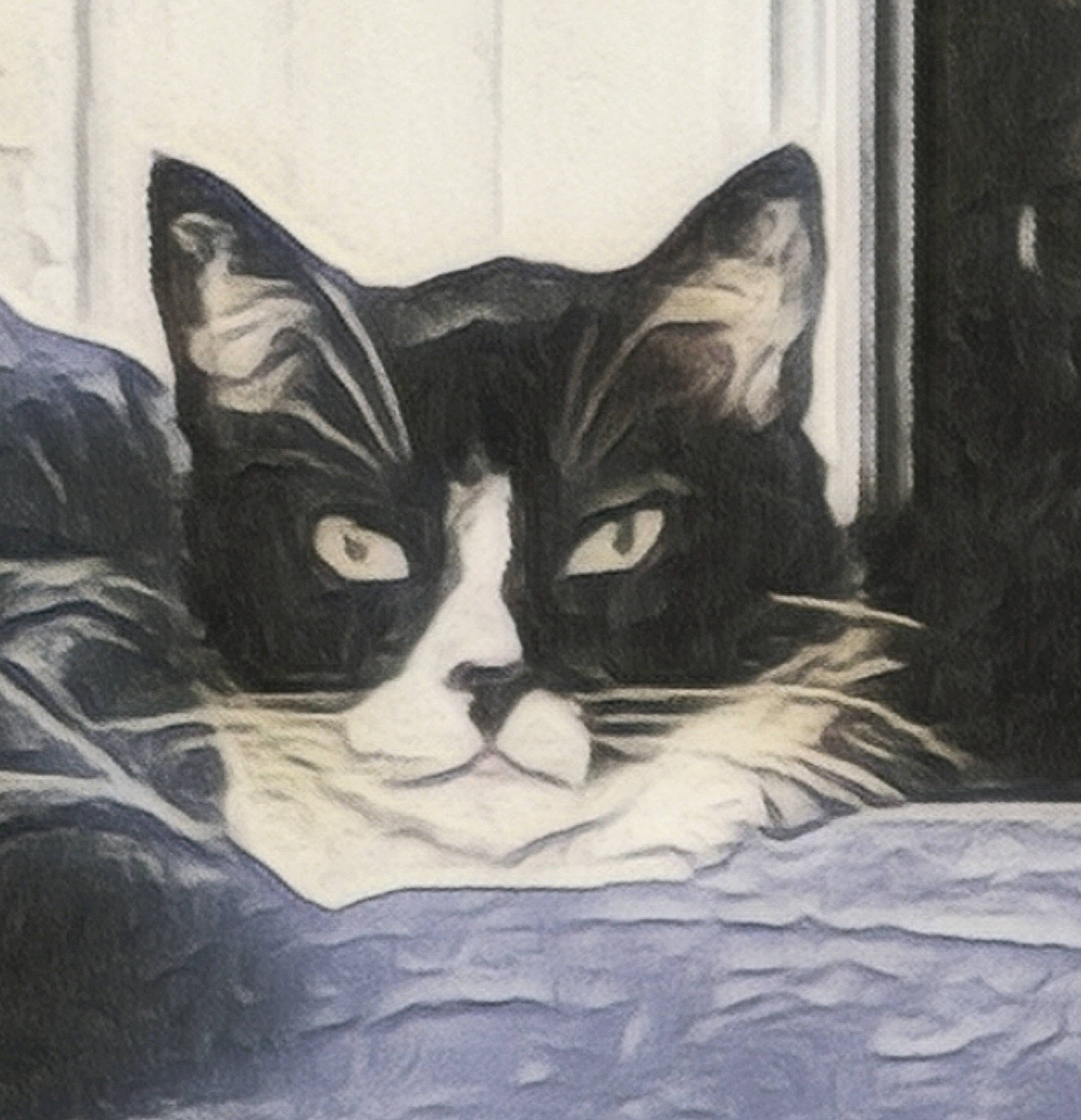 Tut Tuutt a rejoint le concours — aidez-le/la à gagner de superbes lots ! art, bedding, black_cat, carnivore, cat, comfort, domestic_short_haired_cat, felidae, fur, grey, illustration, linens, nap, painting, small_to_medium_sized_cats, snout, tail, visual_arts, whiskers, window