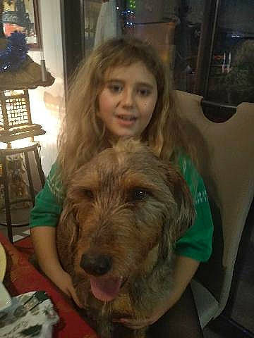 Sangar a rejoint le concours — aidez-le/la à gagner de superbes lots ! canidae, carnivore, chair, child, companion_dog, dog, dog_breed, ear, event, fawn, fun, fur, liver, puppy_love, selfie, snout, sporting_group, toy_dog, wood, working_animal