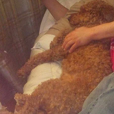 Nacho