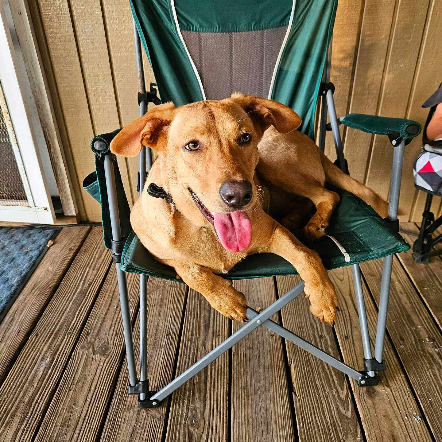 Gus
