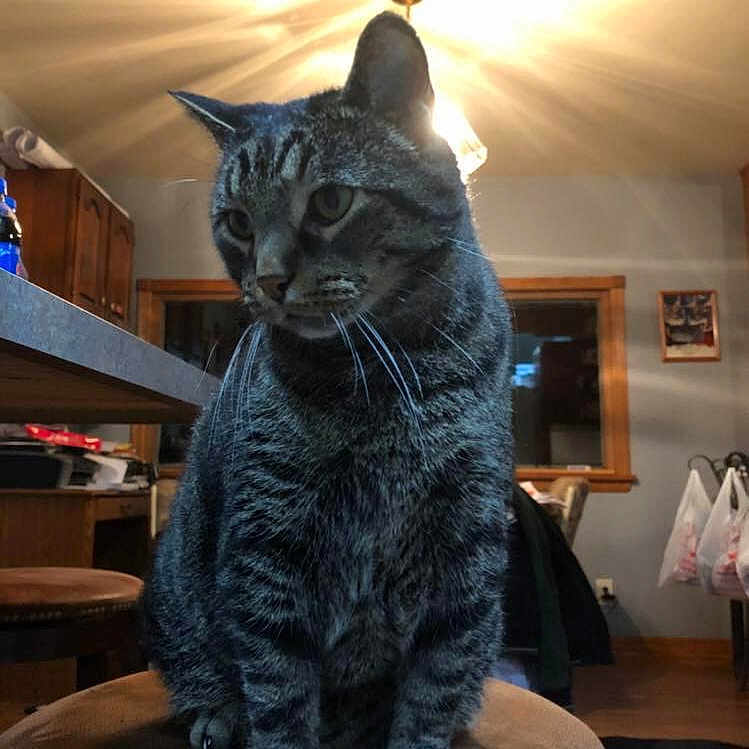 Marley