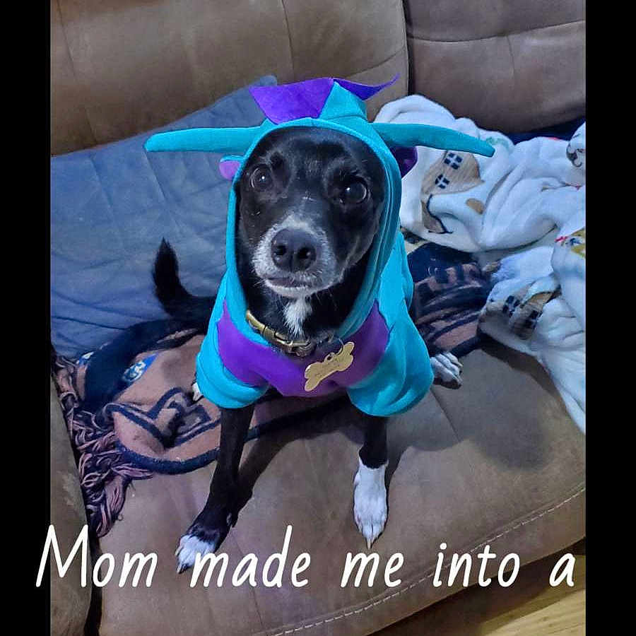 Roscoe