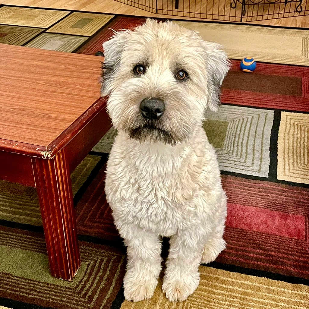 Jax