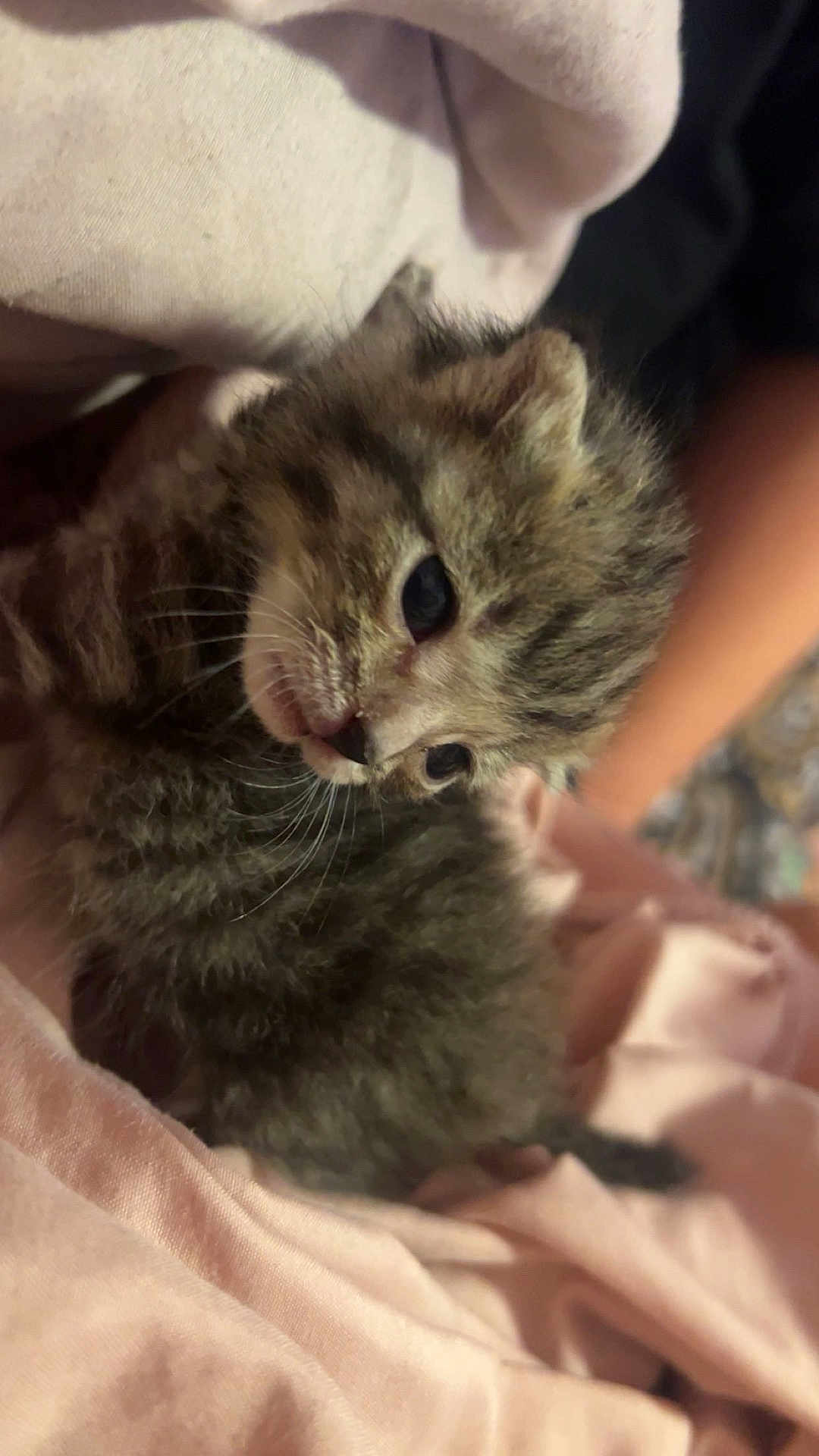 Peanut