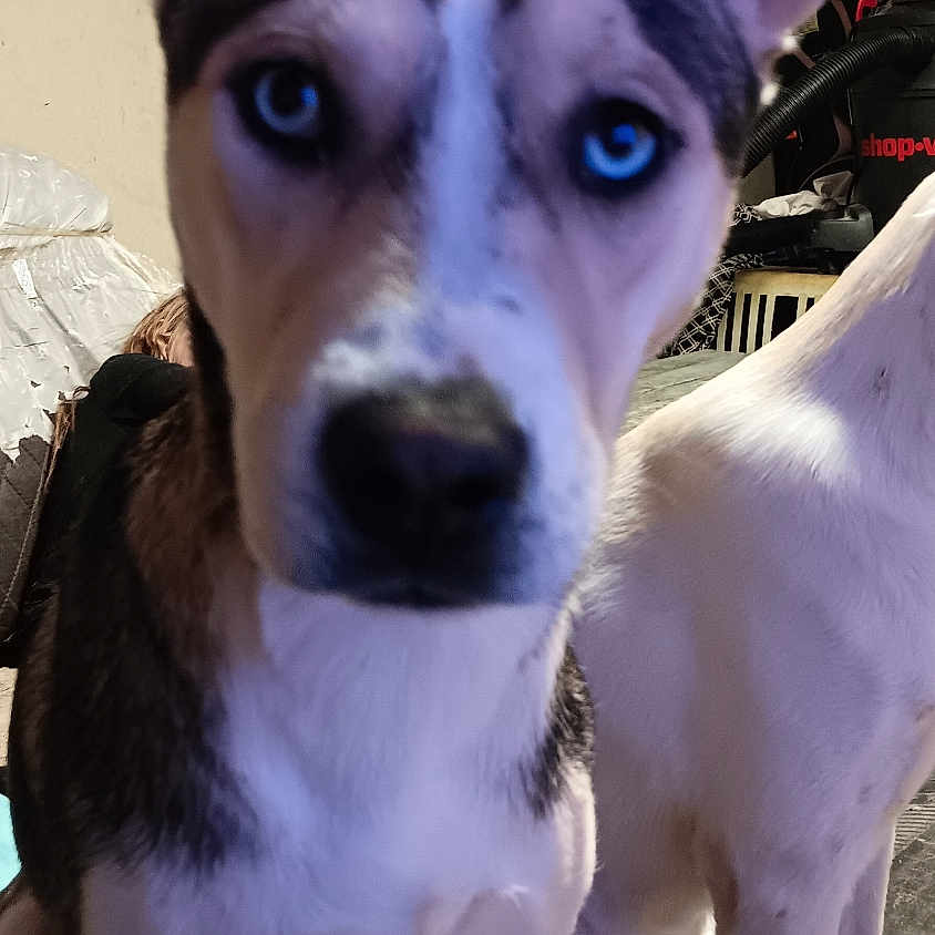 Pretty