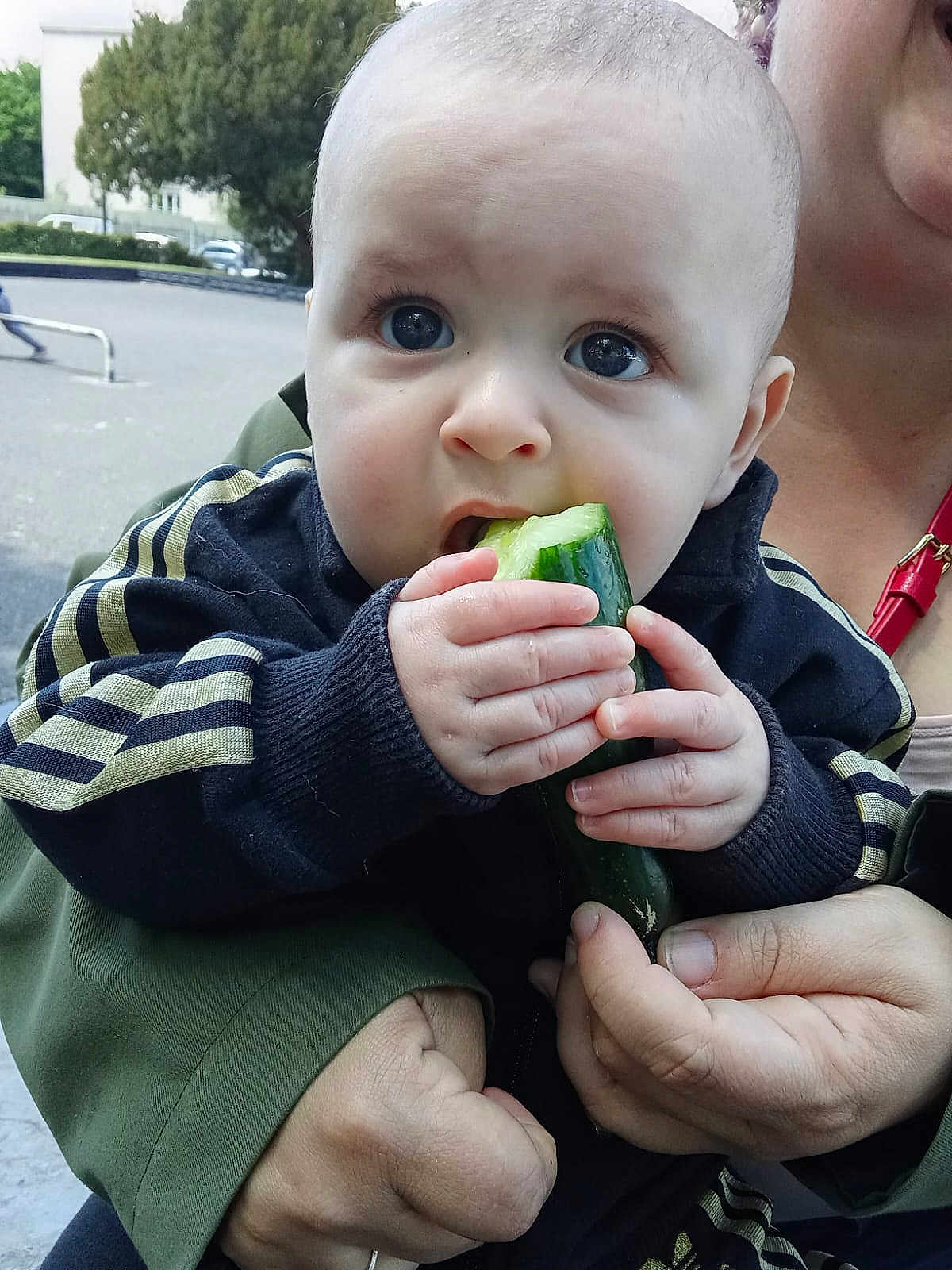 Elijah