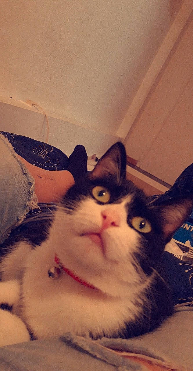 Chouchoune participe au concours pour gagner de l'argent avec cette photo :