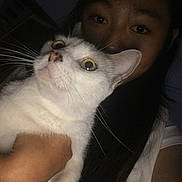 Sunny is registered to the contest to win money with this photo: animal, cat, close_up, cute, dark_background, expression, face, fur, hand, holding, indoor, long_hair, looking, night, person, pet, portrait, whiskers, white_cat, yellow_eyes