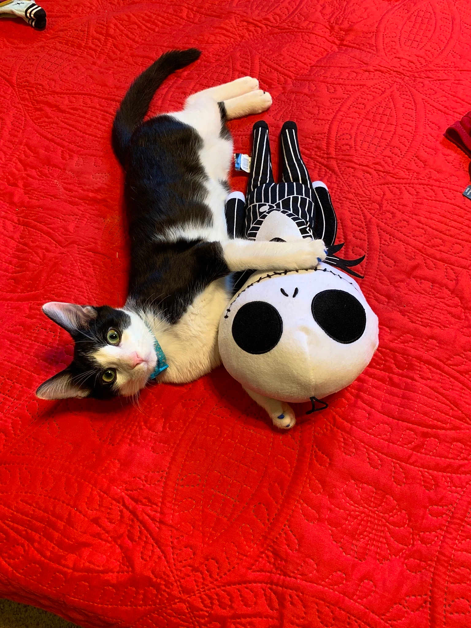 Tom