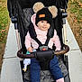 Mari is registered to the contest to win money with this photo: autumn, baby, blue_pants, child, cute, grass, hat, infant, leaves, outdoor, person, pink_jacket, polka_dots, pom_poms, safety_straps, seat, sidewalk, socks, stroller, toy