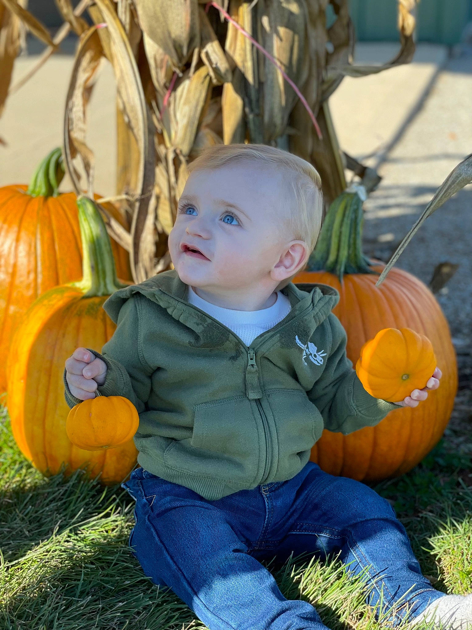 Monroe joined the competition — help win amazing prizes! baby_toddler_clothing, botany, calabaza, clothing, cucurbita, eye, facial_expression, gourd, grass, happy, leaf, orange, people_in_nature, person, photograph, plant, pumpkin, squash, vegetable, winter_squash