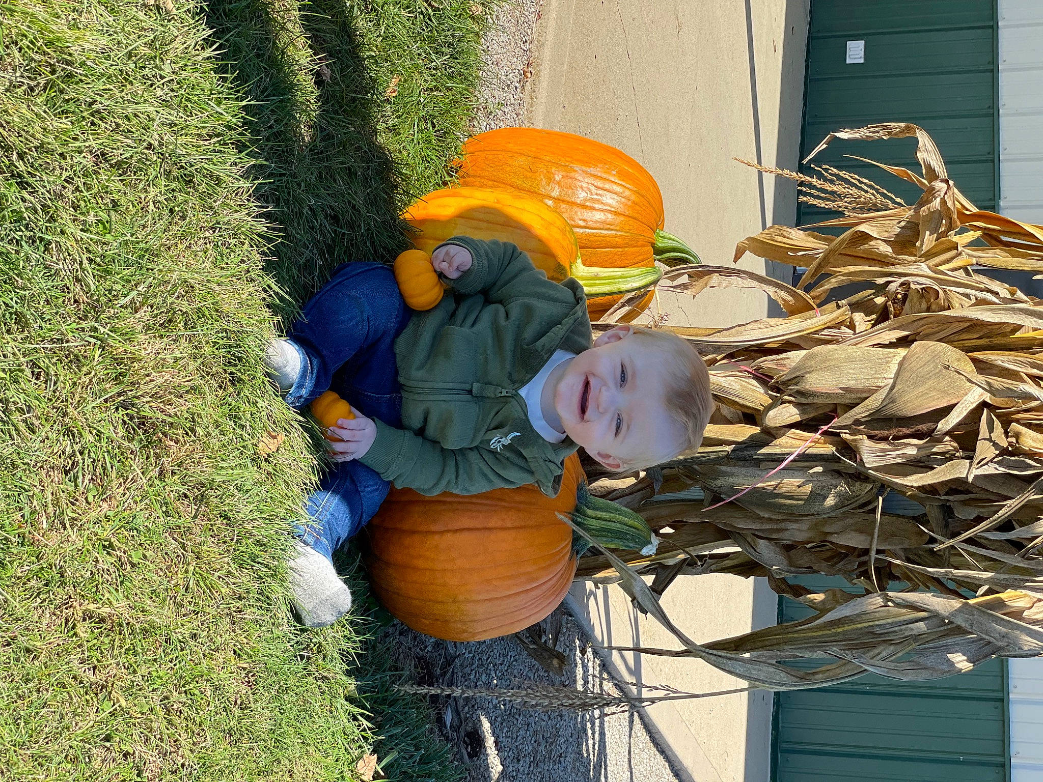 Monroe is registered to the contest to win money with this photo: _and_melon_family, _gourd, agriculture, art, calabaza, cucumber, cucurbita, gas, gourd, grass, groundcover, hat, joy, lawn_ornament, local_food, person, personal_protective_equipment, plant, pumpkin, scarecrow