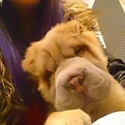 Bear is registered to the contest to win money with this photo: