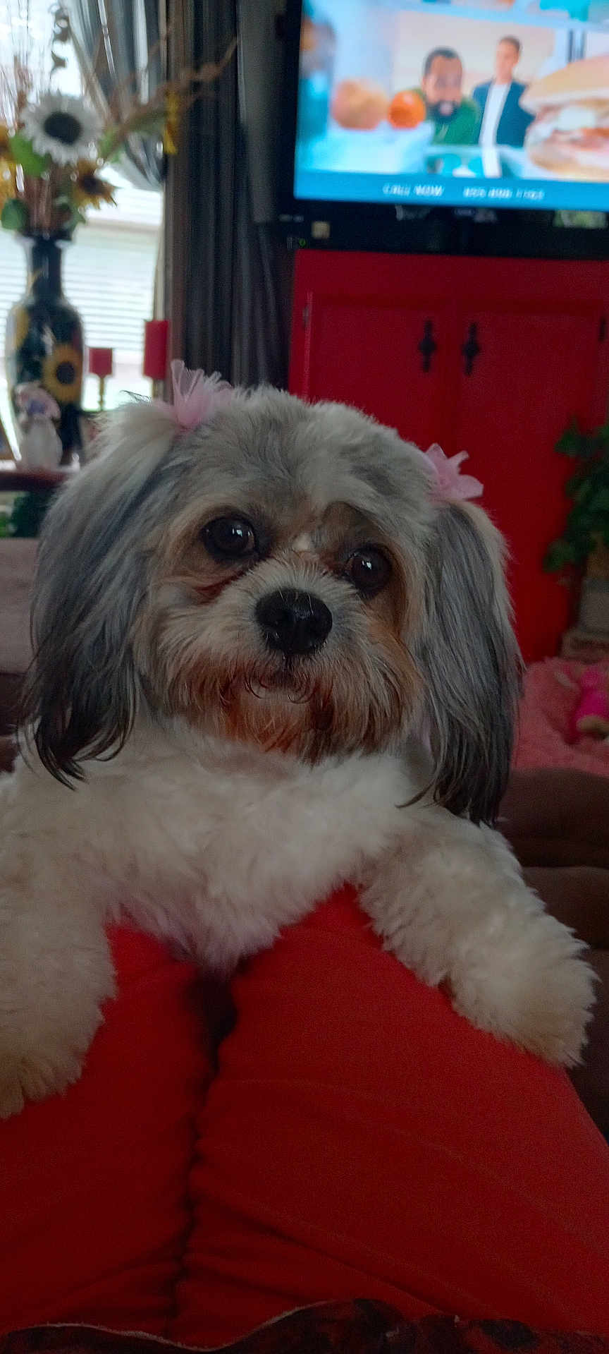 Annie
