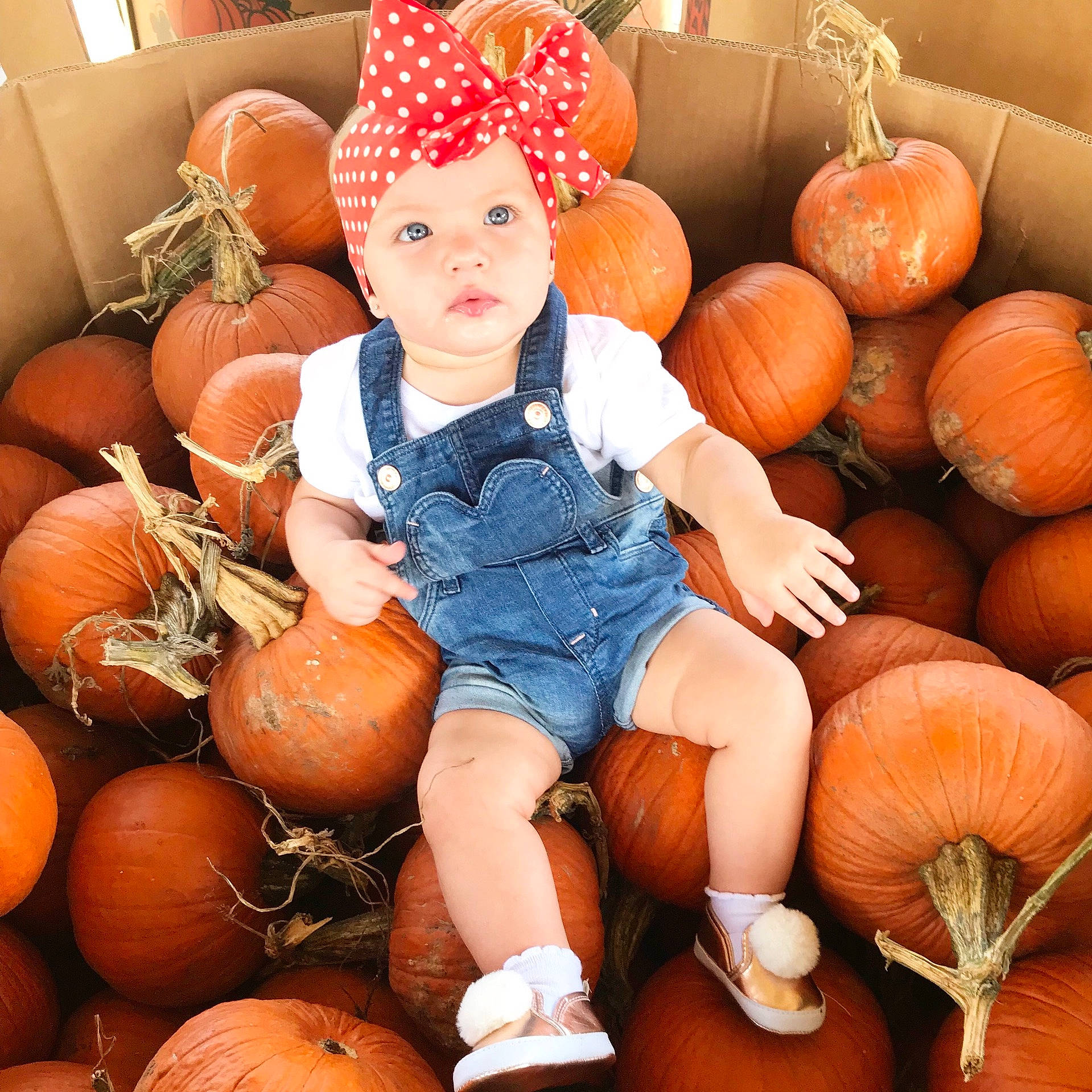 Andrea joined the competition — help win amazing prizes! calabaza, child, cucurbita, girl, halloween, infant, person, pumpkin, winter_squash