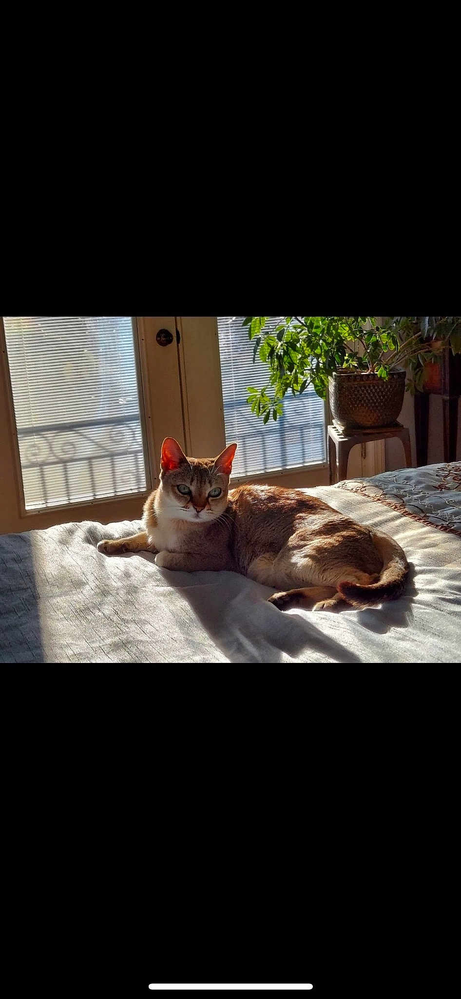 Ruby