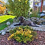 Vekna participe au concours pour gagner de l'argent avec cette photo : dog, garden, grass, plants, rocks, sunlight, outdoor, bush, shrub, wood_chips, patio, furniture, relaxing, nature, daylight, canine, yard, backyard, leisure, pet