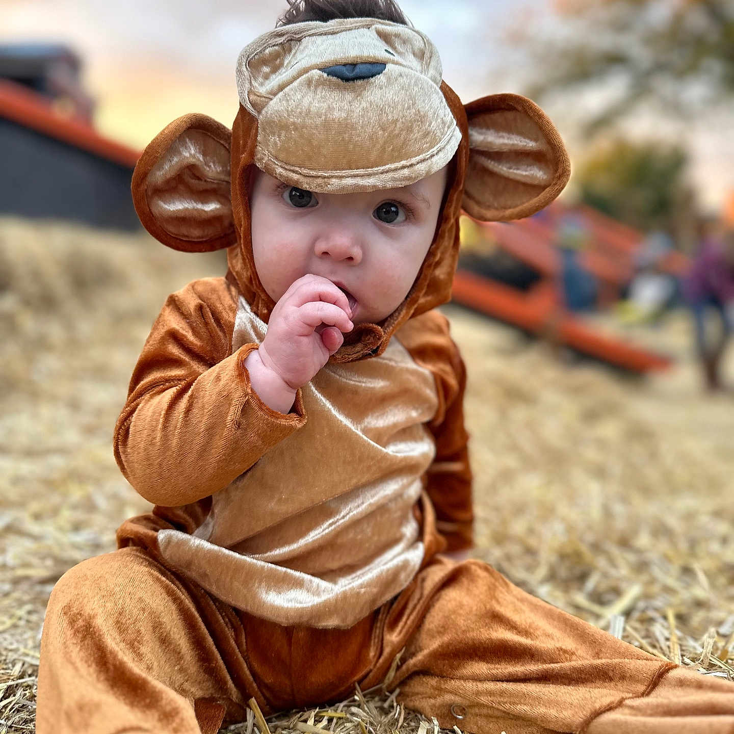 Alyis is registered to the contest to win money with this photo: bodypart, boy, child, clothing, coat, countryside, eating, face, finger, food, hand, head, jacket, male, nature, outdoors, person, photography, portrait, sitting
