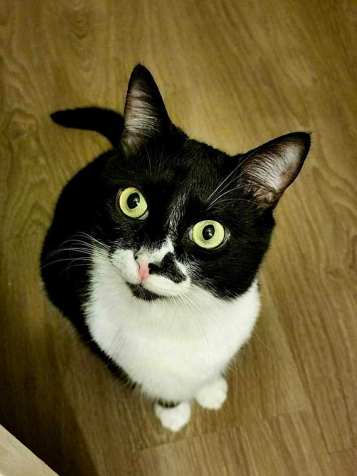 Natzu