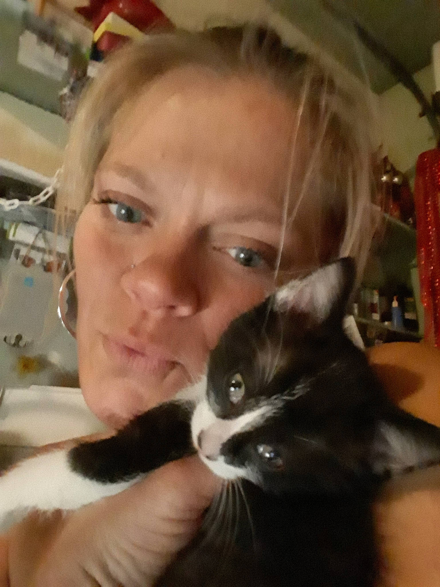 John is registered to the contest to win money with this photo: asian, carnivore, cat, domestic_short_haired_cat, ear, fawn, felidae, fur, kitten, nose, person, small_to_medium_sized_cats, snout, tonkinese, whiskers