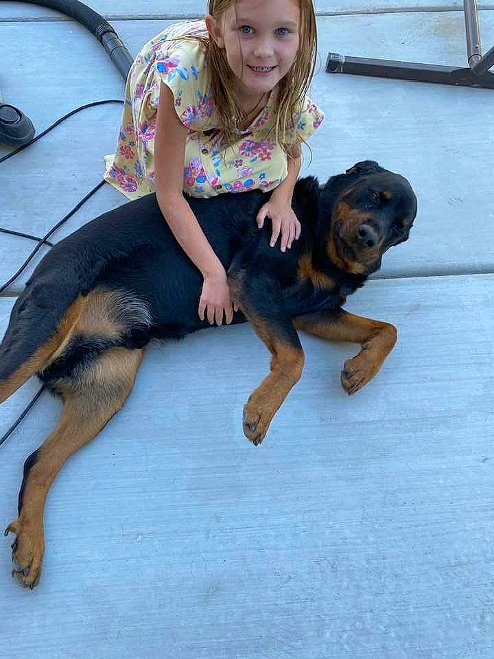 Ernie joined the competition — help win amazing prizes! arm, barefoot, canidae, carnivore, child, companion_dog, dog, dog_breed, fawn, foot, fun, happy, human_leg, leisure, paw, sitting, smile, sporting_group, thigh, vacation