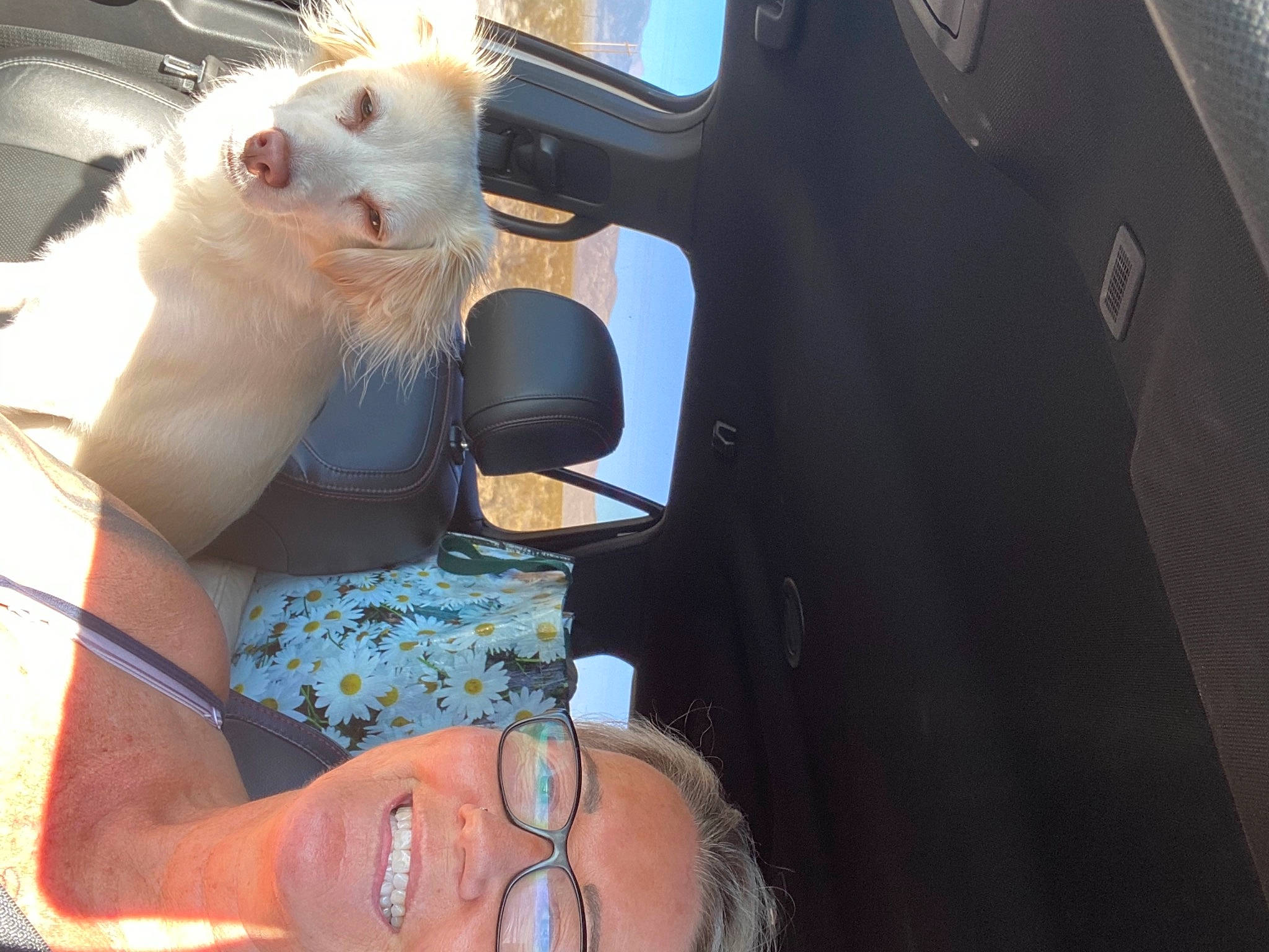 Liberty is registered to the contest to win money with this photo: automotive_exterior, automotive_lighting, car_seat, carnivore, cat, chest, eyewear, felidae, finger, glasses, head_restraint, nail, seat_belt, service, small_to_medium_sized_cats, sunglasses, trunk, vehicle_door, vision_care, wrist