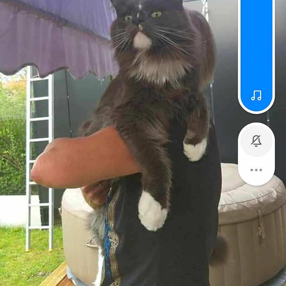 Pixel