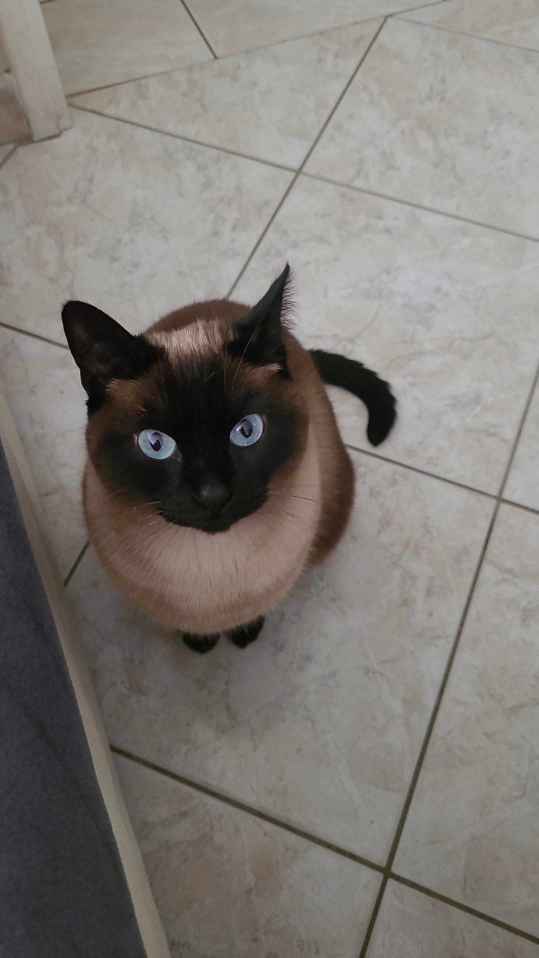 Tiezel