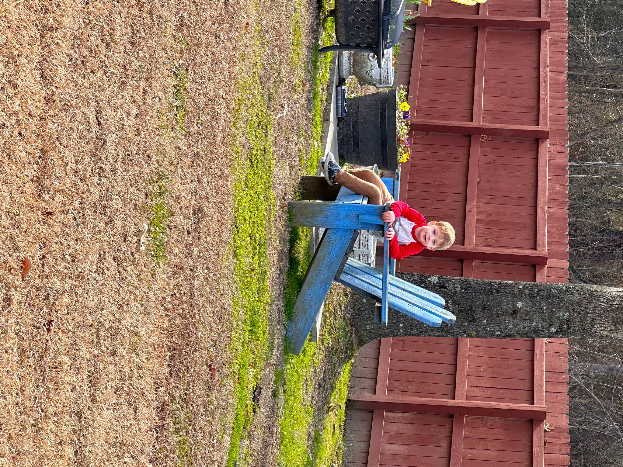 Carter joined the competition — help win amazing prizes! agriculture, electric_blue, facade, flag, grass, joy, leisure, person, plant, recreation, shadow, shrub, siding, soil, wood, wood_stain